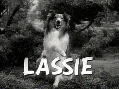 Lassie (1954) | Serien Wiki | Fandom