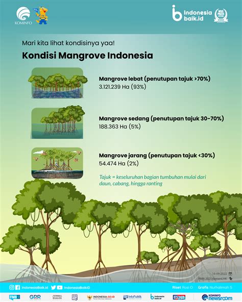 Persebaran Hutan Mangrove Di Indonesia - Homecare24