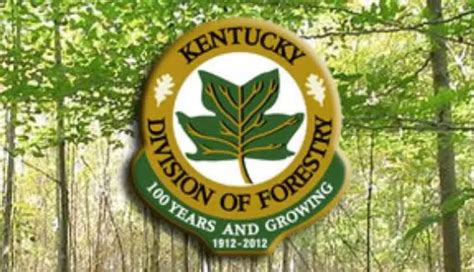 Kentucky Division of Forestry sees a Surge in Wildfires | WKYH 600 AM and 99.3 FM | Classic Hits