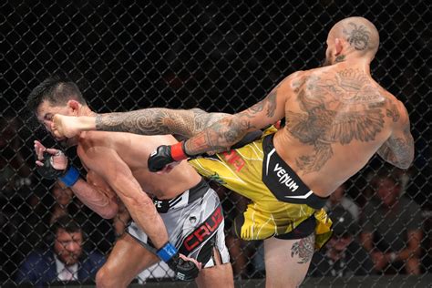 Highlights! Marlon Vera destroys Dominick Cruz with nose-crunching high ...