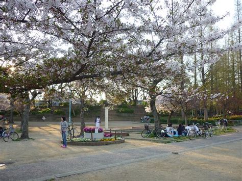 Hirano Park (Osaka) - 2020 All You Need to Know BEFORE You Go (with ...