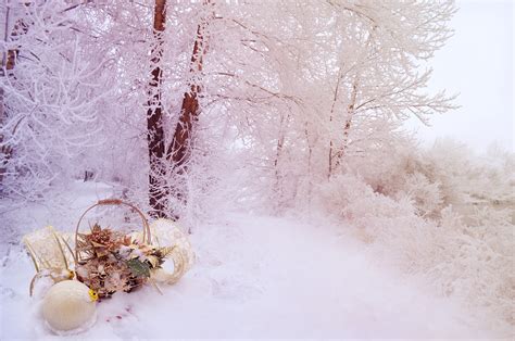 Winter Background Free Stock Photo - Public Domain Pictures
