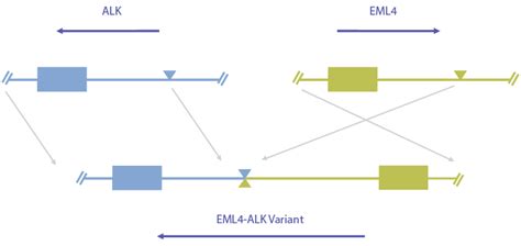 The Importance of Detecting the Most Fusions Across the Most Patients