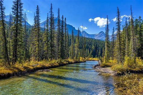 Clima en Parque Nacional Jasper en Agosto 2025 - Tiempo, Temperatura y ...