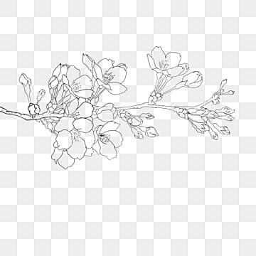 Flower Line Artaesthetic Line Drawing PNG Images - Pngtree