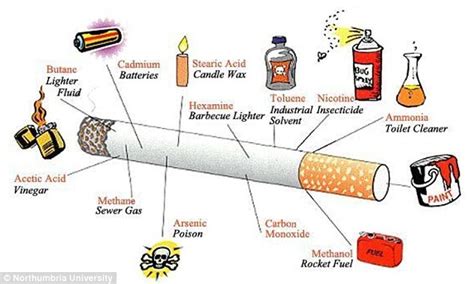 Psychology experts warn cigarettes contain 4,000 chemicals that effect ...