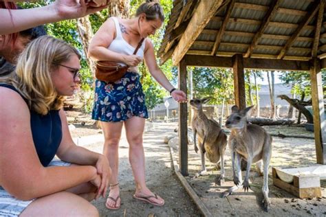 Port Douglas: Wildlife Habitat Entrance Ticket | GetYourGuide