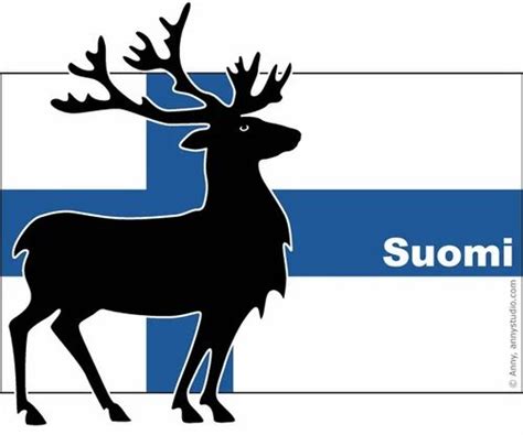 Suomi Finland Flag, Website Designing - Anny Studio, Bengaluru | ID ...