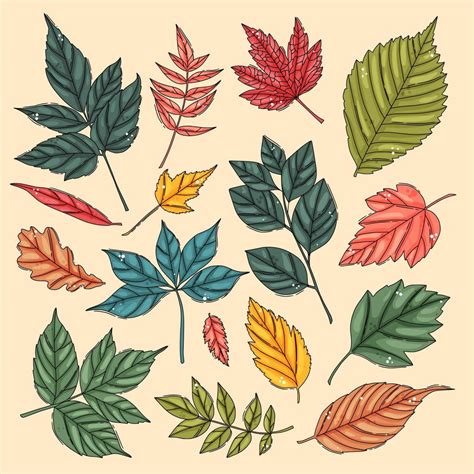 Autumn leaf set. Coloured tree leaves 10224395 Vector Art at Vecteezy