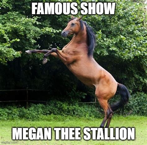 Megan Thee Stallion Funny Animal Memes, Funny Animals, Scallion, Celebrity Names, Famous ...