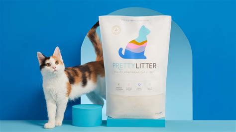 PrettyLitter review: Is this health-monitoring cat litter worth the price? - Reviewed