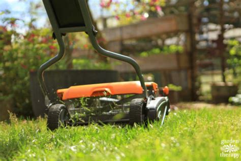 Lawn Care Unplugged: How to Use a Reel Mower - Garden Therapy