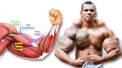 How Building Muscle Actually Works - YouTube