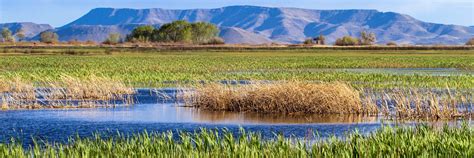 Alamosa National Wildlife Refuge | Southeast Colorado, Colorado | Attractions - Lonely Planet