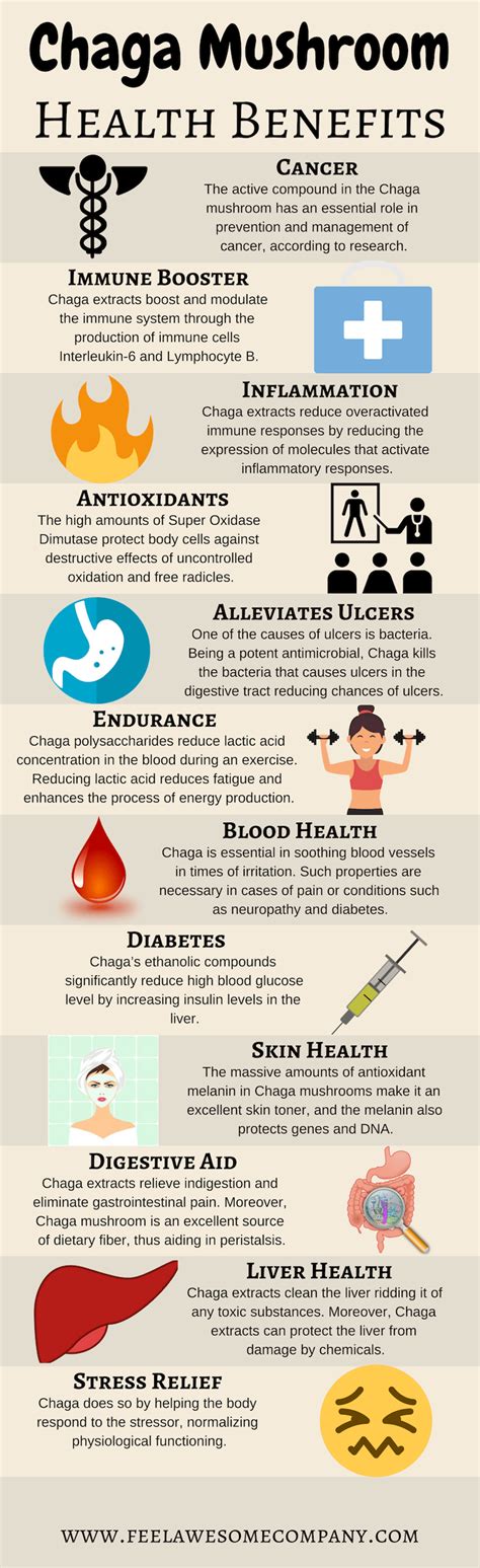 Health Benefits Of Mushrooms - kordinamis