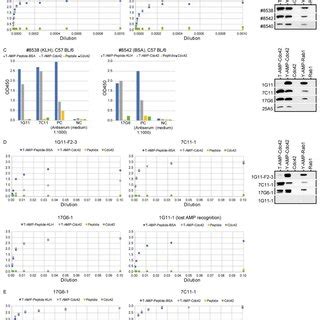 Motivation, Hapten Design, and Selection Strategy for the Generation of... | Download Scientific ...