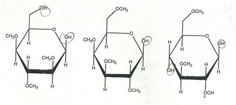 Solved A trisaccharide was extensively methylated with CH3I | Chegg.com