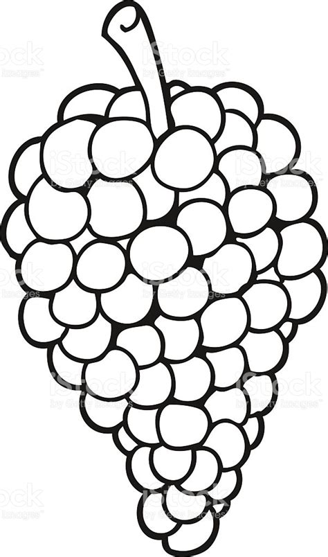 Grapes Drawing | Free download on ClipArtMag