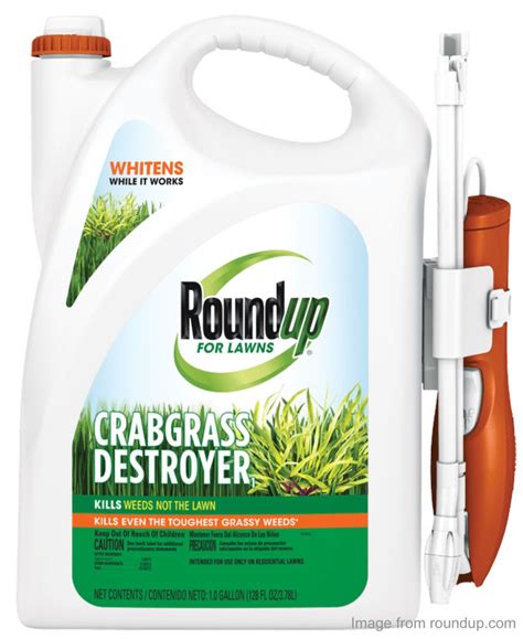 Roundup Alternatives - The Popular Herbicide Will Soon Be No More