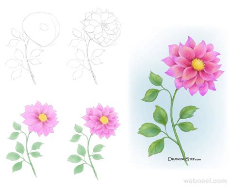 Flower Drawing Step By Step 32