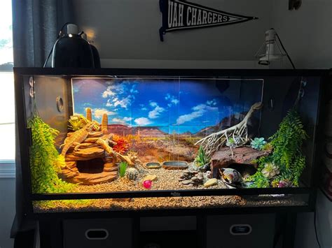 Reptile Habitats 4x2x2 (120 Gallon) PVC Bearded Dragon Enclosure | Dubia.com