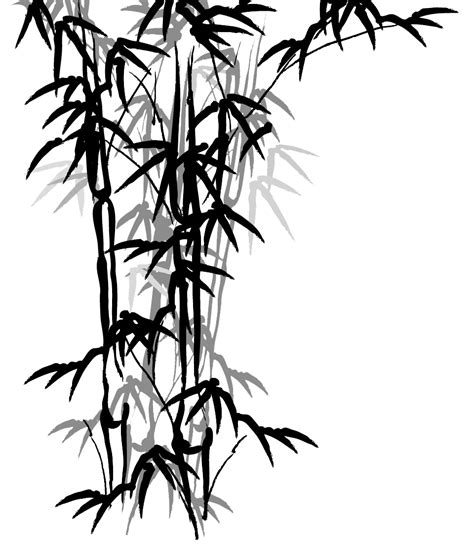 Bamboo Drawing | Free download on ClipArtMag