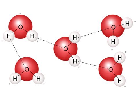 Why are Molecules Attracted to Each Other? - Little to Great Scientists