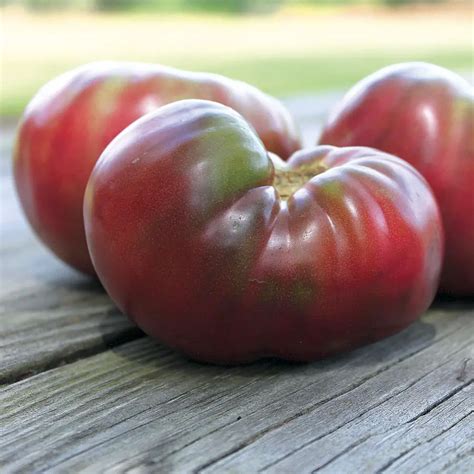 Cherokee Purple Tomato - Backyard Eden