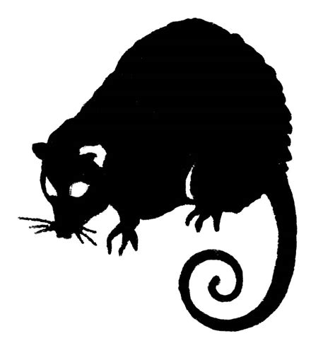 Free Opossum Cliparts, Download Free Opossum Cliparts png images, Free ClipArts on Clipart Library