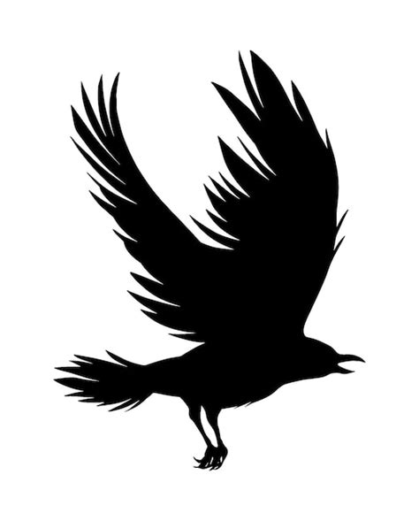 Premium Vector | Flying crow silhouette