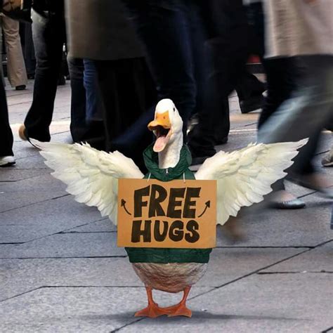 Aflac duck. Free hugs! Pet Ducks, Baby Ducks, Duck Pictures, Cute Animal Pictures, Funny Duck ...