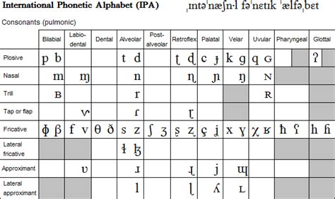 International Phonetic Alphabet (IPA)