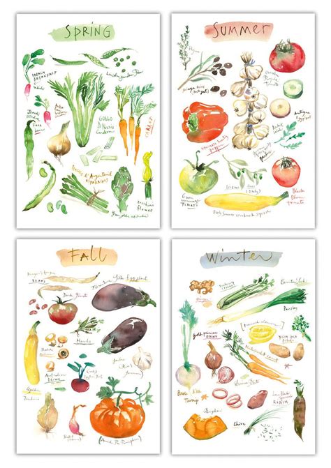 4 seasons Vegetable print set, 4X6 prints, Watercolor illustrations, Seasonal poster | Vegetable ...