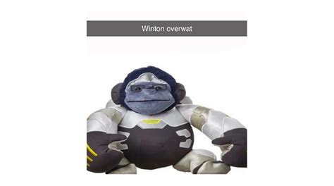 Winton Overwat (Overwatch) | Know Your Meme