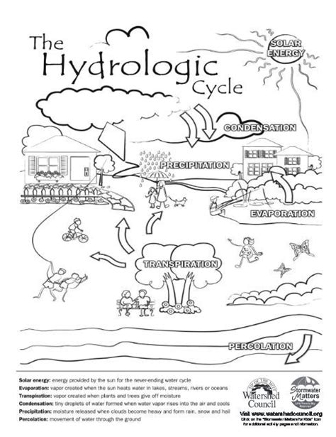 Water Cycle Diagram Worksheet Answers - kidsworksheetfun