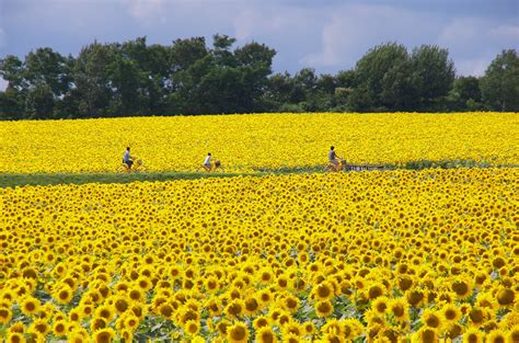 101 Best Unforgettable Things to Do in Hokkaido | Kyuhoshi