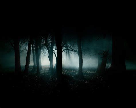 Gothic Forest Wallpapers - Top Free Gothic Forest Backgrounds - WallpaperAccess