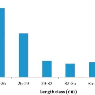 Catch composition of the Mormyridae species sample in the Upper Sanaga ...