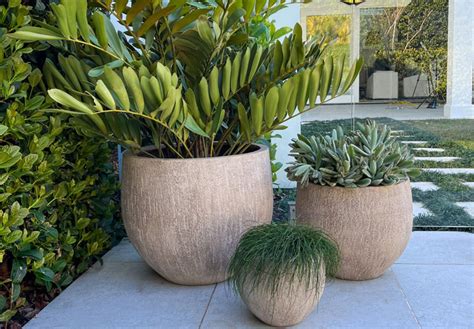 Make a statement: Best extra large pots for indoor & outdoor plants | Flower Power