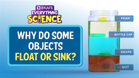 Why Do Objects Float Or Sink? | BYJU'S Everything Science #shorts - Go IT