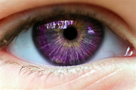 Pin by Tsukushi Makino on Ojos | Violet eyes, Eye color, Rare eye colors