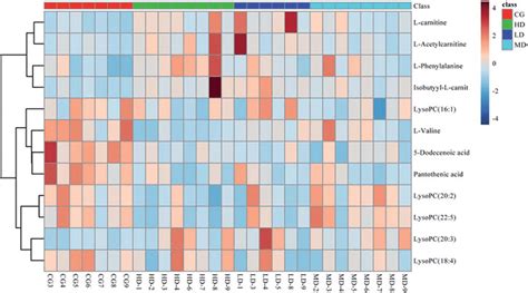 HCA/Heatmap hierarchical cluster analysis (HCA) of metabonomic data... | Download Scientific Diagram