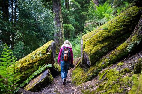 Traveller stories: Hiking in Cradle Mountain NP | Australia Outback Yarns