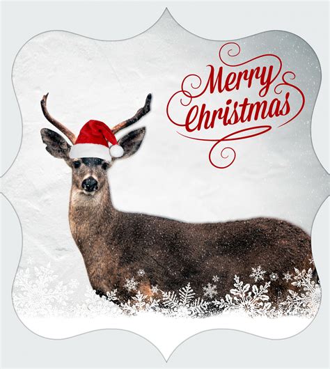 Merry Christmas Deer Free Stock Photo - Public Domain Pictures