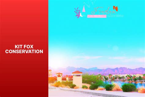 Kit Fox Conservation: Supporting Population Preservation and Habitat ...