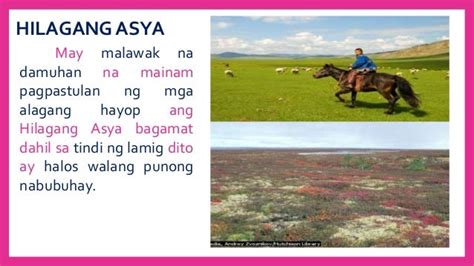 Ano Ang Yamang Gubat Ng Kanlurang Asya | Images and Photos finder