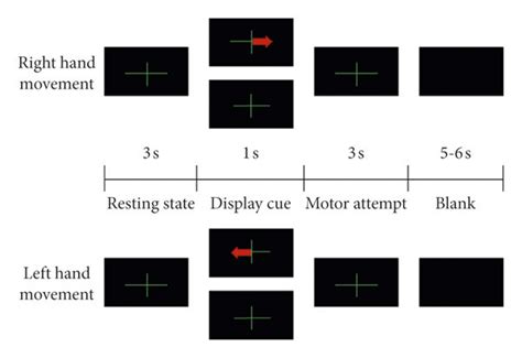 Each trial started with a fixation cross displayed in the center of the ...