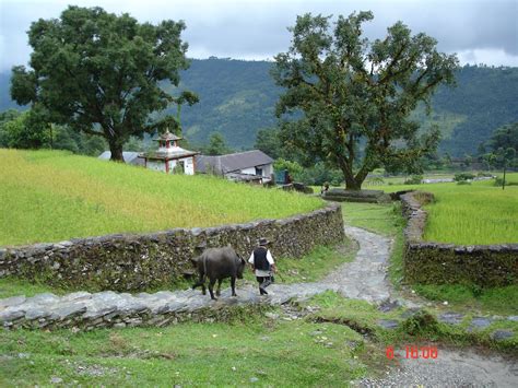 Jhapa ~ Tourism