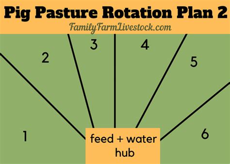 How Many Pigs On 5 Acres? (With Pasture Rotation Plan) – Family Farm ...