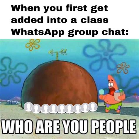 Especially when you know almost nobody | r/BikiniBottomTwitter | SpongeBob SquarePants | Know ...